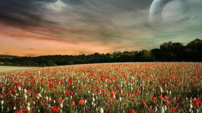 postgresql也很强大，为何在中国大陆，mysql成为主流，postgresql屈居二线呢？